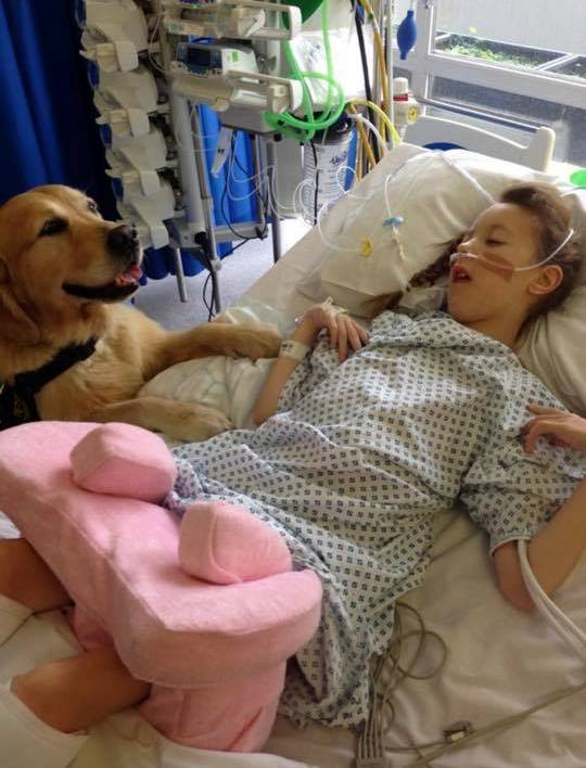 Libby, PICU patient, with a therapy dog