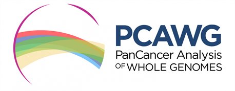 PanCancerlogo2020