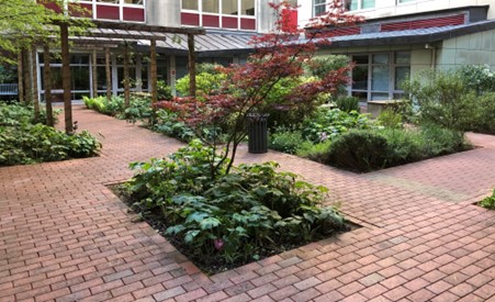 Garden in the patient and family support hub