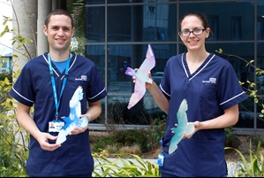 Rachel Clare and David Thomson: specialist nurses - organ donation