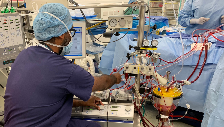 Clinical perfusionist at work